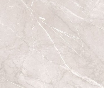 Фото Керамогранит Alma Ceramica GFU04PLP07R 600x600